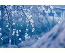 身份證取代老年證體現(xiàn)為民理念