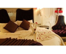 有人出差旅行時會認床睡不著這是因為 螞蟻莊園