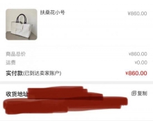 左手高仿，右手二奢 這屆年輕人的奢侈品消費著