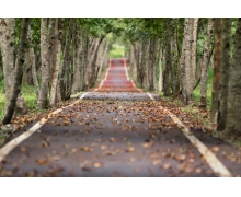 農村環境治理還需要全民參與