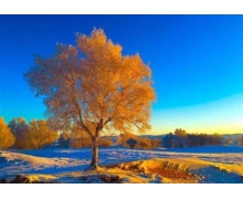 攻堅克難,貴南高鐵喜迎新進(jìn)展