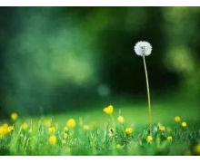 預防未成年人沉迷網游要疏堵結合