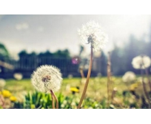 “高鐵無軌站” 串起了一個個緊密相連的城市“