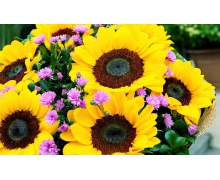 為了延長鮮花的保鮮期,剪花枝時怎么做效果會