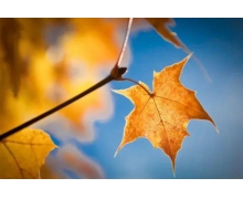 為高鐵服務點贊