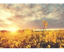 12306適老化改造 讓老年人出行充滿幸福感