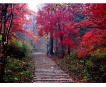 合新高鐵，“皖蘇”經濟“加速器”