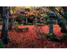 假期結束，您的返程有鐵路溫情相伴