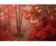 迎國慶返程高峰，黔西站全力保障旅客出行安全