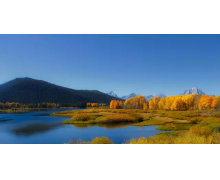 如何保護“網癮”老人