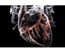 「科凱生命」獲 3.5 億元 Pre-C 輪融資，BOCG 藍海和