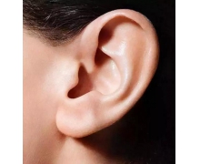 耳朵上的聰明孔究竟是什么 螞蟻莊園10月9日答案