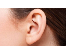 支付寶螞蟻莊園小課堂耳朵上有“聰明孔”的人