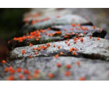 市域快鐵,見證悠遠古城“美麗蛻變