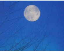 平臺破釜沉舟“防沉迷”行業、家長應積極跟進