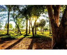 “城鐵快巴”，體現民生溫度