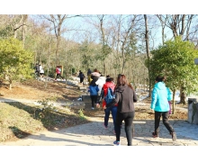 古人常說的重陽節(jié)登高就是指爬山嗎 螞蟻莊園早