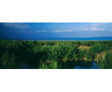 螞蟻新村中國最大的內陸淡水湖博斯騰湖位于 新