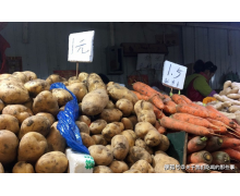 土豆是什么時(shí)候傳入中國的 螞蟻莊園明朝時(shí)從美