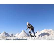 支付寶螞蟻莊園11月8日小課堂答案 為什么食鹽打