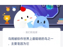 烏鴉被稱作世界上最聰明的鳥之一，主要是因為