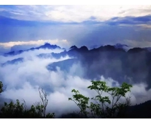 螞蟻新村11月12日答案最新 靖州苗族渠陽鎮有名的