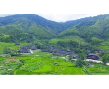 螞蟻新村每日答案11.12容答案 靖州苗族侗族自治