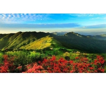 有商家宣稱化妝品是食品級能食用 食品級化妝品