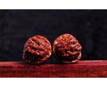 支付寶螞蟻莊園小課堂11月14日答案 多吃核桃可以