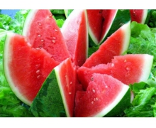 無籽西瓜的種植技術 支付寶螞蟻新村11月14日小課