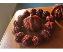 吃核桃可以讓人更聰明嗎 支付寶螞蟻莊園小課堂