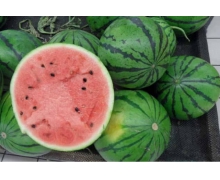 無籽西瓜的技術是轉基因嗎 支付寶螞蟻新村11月