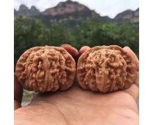 多吃核桃會變聰明嗎螞蟻莊園 支付寶螞蟻莊園小