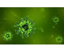 美藥企冷凍瓶疑似存有天花病毒 控中心證實(shí)事件