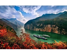 被譽(yù)為峽橙三秀之一的桃葉橙來自 螞蟻新村小課