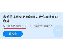 知羞草遇到刺激和觸碰為什么能夠自動合攏