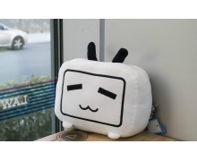 B站發財報引發大波動 資本市場大跌回應