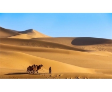 阿拉善沙漠是幾大沙漠的總稱 阿拉善沙漠螞蟻莊