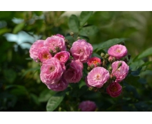 給網絡彈窗戴上“緊箍咒”