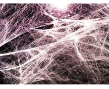 拿筋膜槍在腿上突突螞蟻莊園 筋膜槍能不能瘦腿