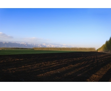 土壤大致可分為三層分別是底圖土層心土層和 螞