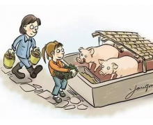 豬是什么時候被廣泛養殖 螞蟻新村豬廣泛養殖