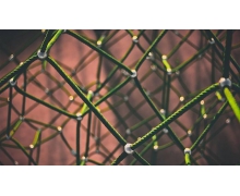 支付寶互聯互通新進展：與 28 家銀行機構實現線