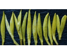 貴州茶葉螞蟻新村 結(jié)束了貴州茶葉沒有馳名商標(biāo)