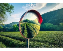 貴州茶葉沒有中國(guó)馳名商標(biāo) 結(jié)束了的茶是螞蟻新