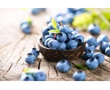 藍(lán)莓適宜生長(zhǎng)的土壤環(huán)境PH在 螞蟻新村12月5日答