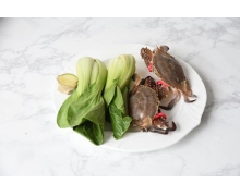 梭子蟹的漁汛一年有幾次 螞蟻新村12月8日答案最