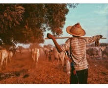 網紅“騙粉”的新套路 假裝在“底層”