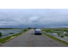 國宴食材石人溝魚出自哪里 螞蟻新村被指定為國