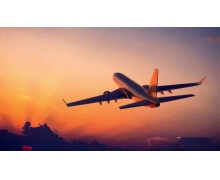 坐飛機出現耳朵疼活動什么位置 螞蟻莊園坐飛機